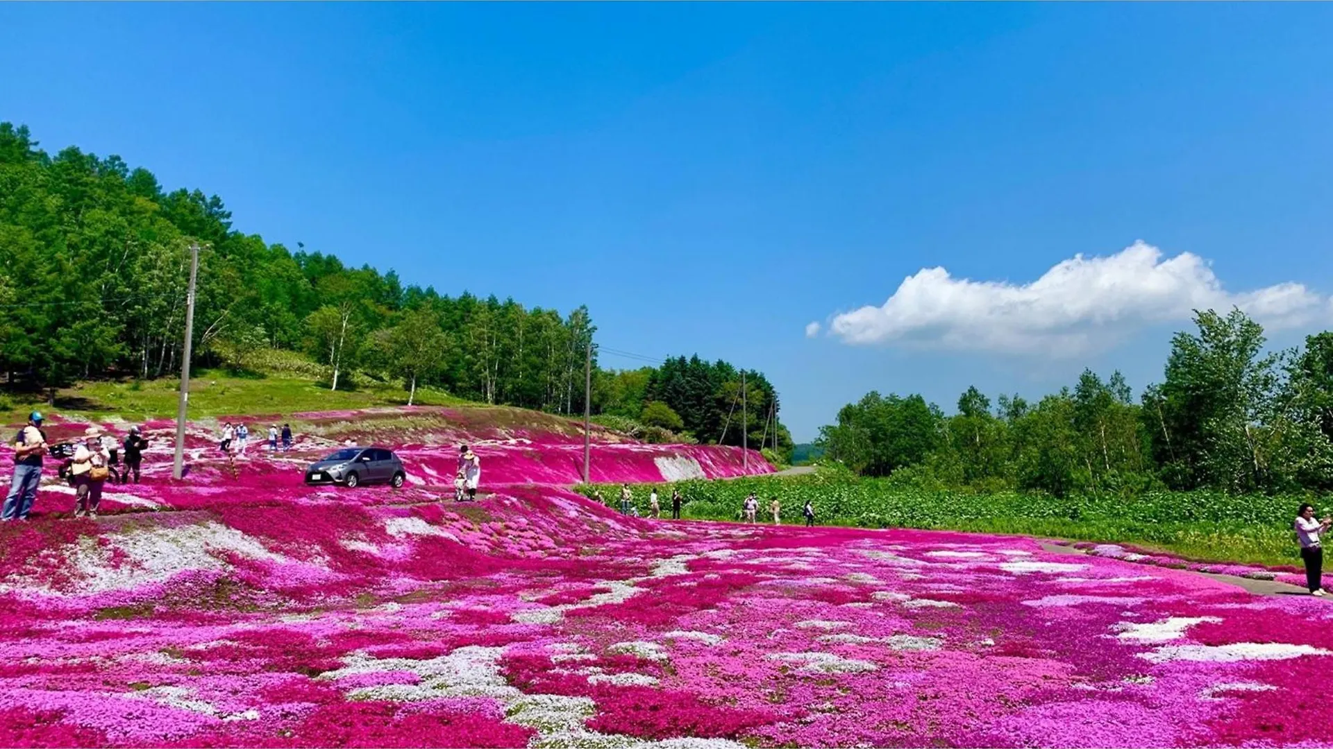 Skye Niseko - Vacation Stay 30794V